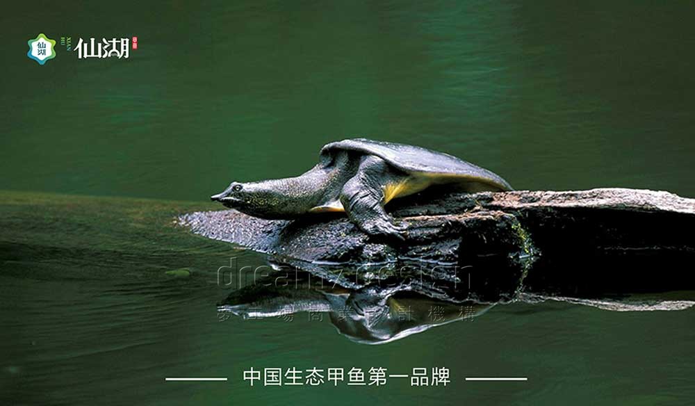 仙湖·有機(jī)甲魚