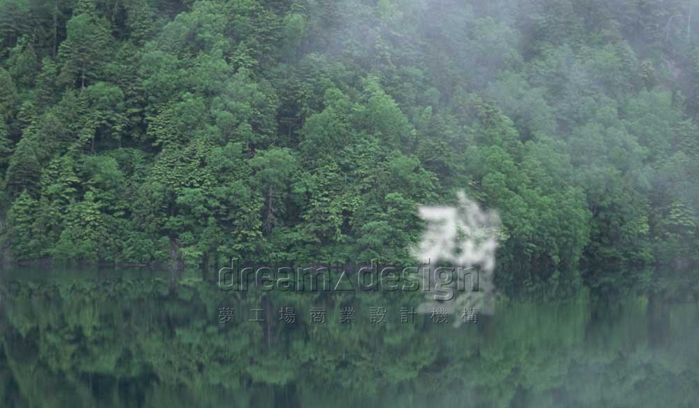 靈樹- 茶葉