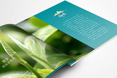 茶葉營(yíng)銷物料設(shè)計(jì)