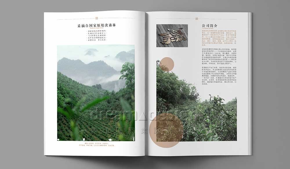 靈樹宣傳畫冊設(shè)計圖1