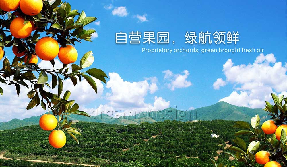 綠航鮮果