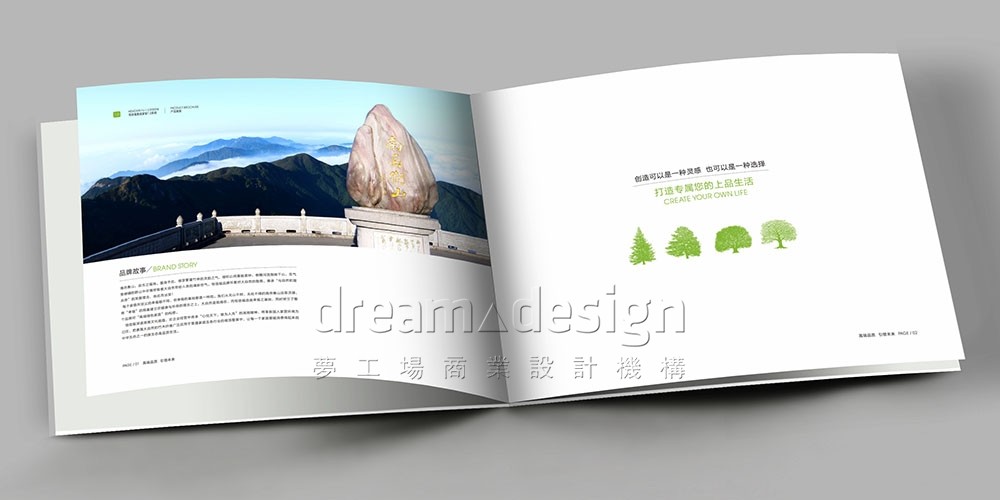 恒信福宣傳畫冊設計圖3
