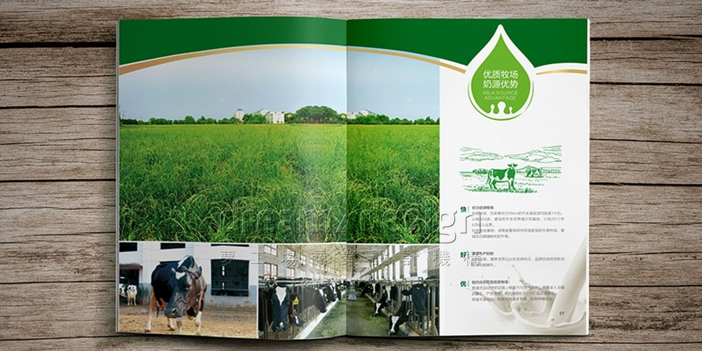 優(yōu)氏乳業(yè)畫冊設(shè)計3