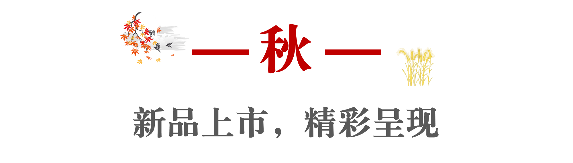 圖片3